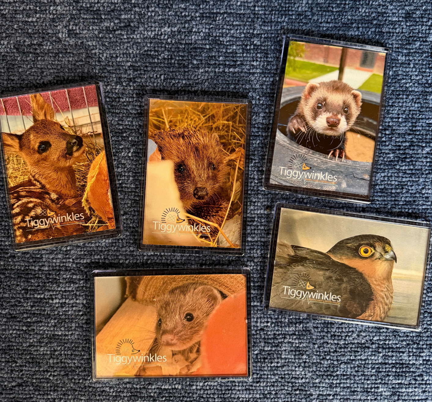 Tiggywinkles Fridge Magnet