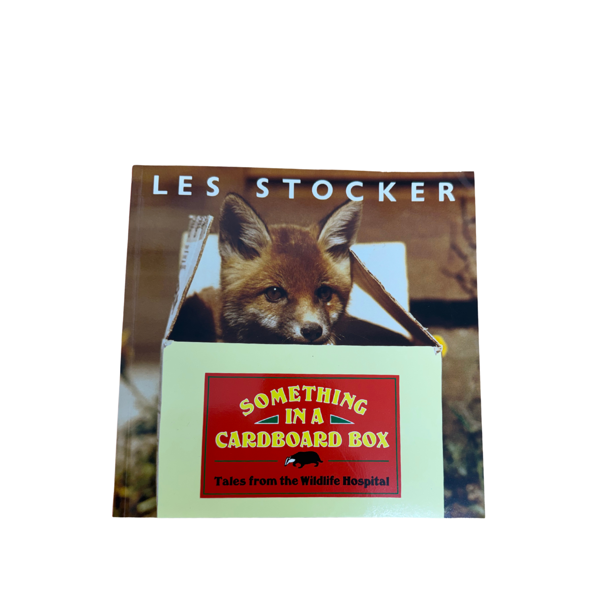 Something in a Cardboard Box