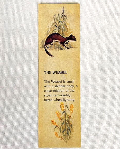 Bookmark - Weasel