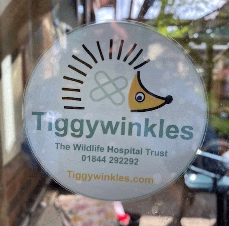 Tiggywinkles Car Sticker