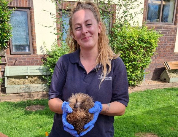 Tiggywinkles The World s Leading Wildlife Hospital tiggywinkles-the-world-s-leading-wildlife-hospital