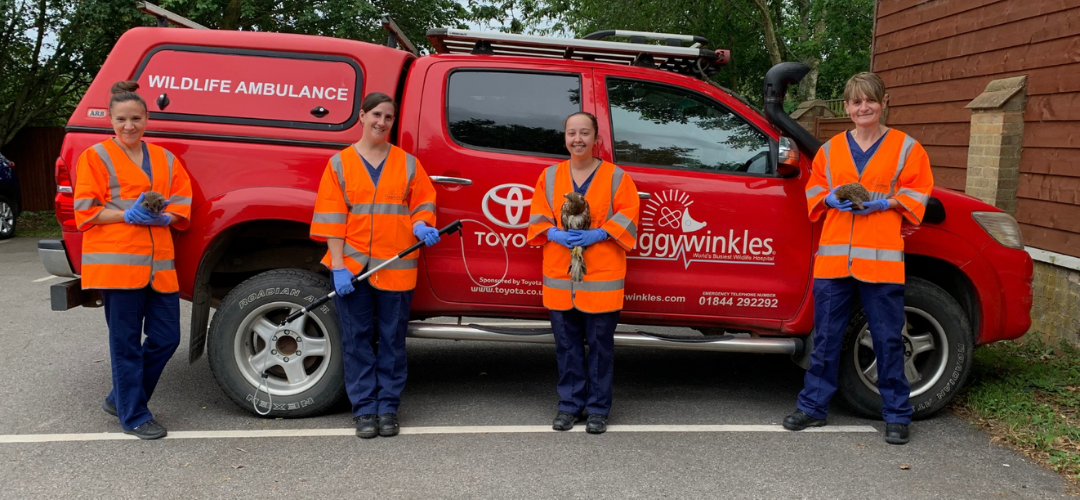 Your Legacy is Our Lifeline Card Image