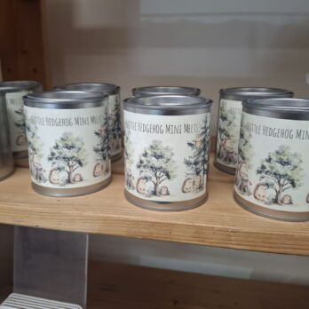 Little Hedgehog Mini Wax Melts