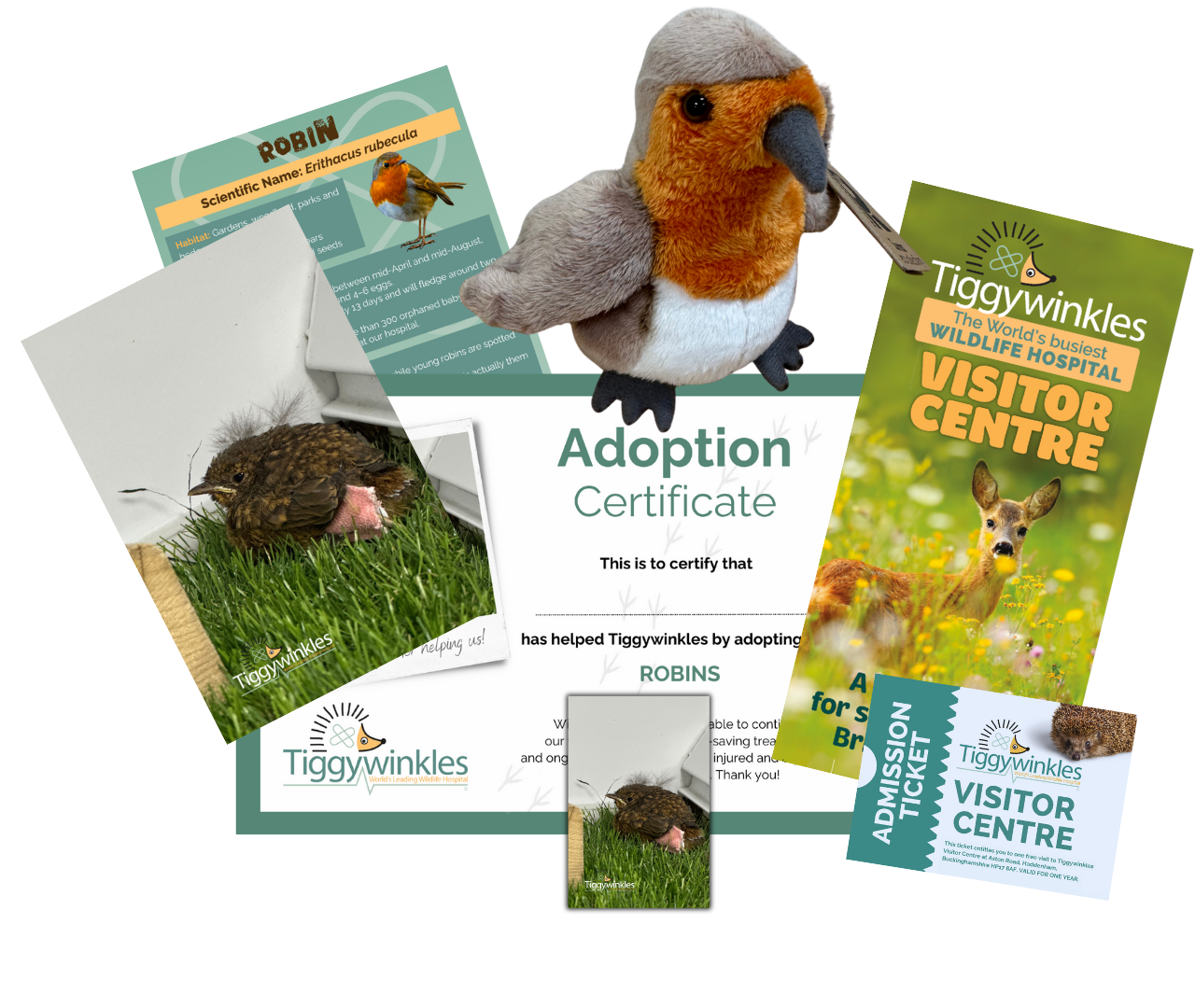 tiggywinkles robin adoption gift pack