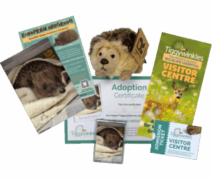 adopt an animal gift pack available at Tiggywinkles to help british wildlife