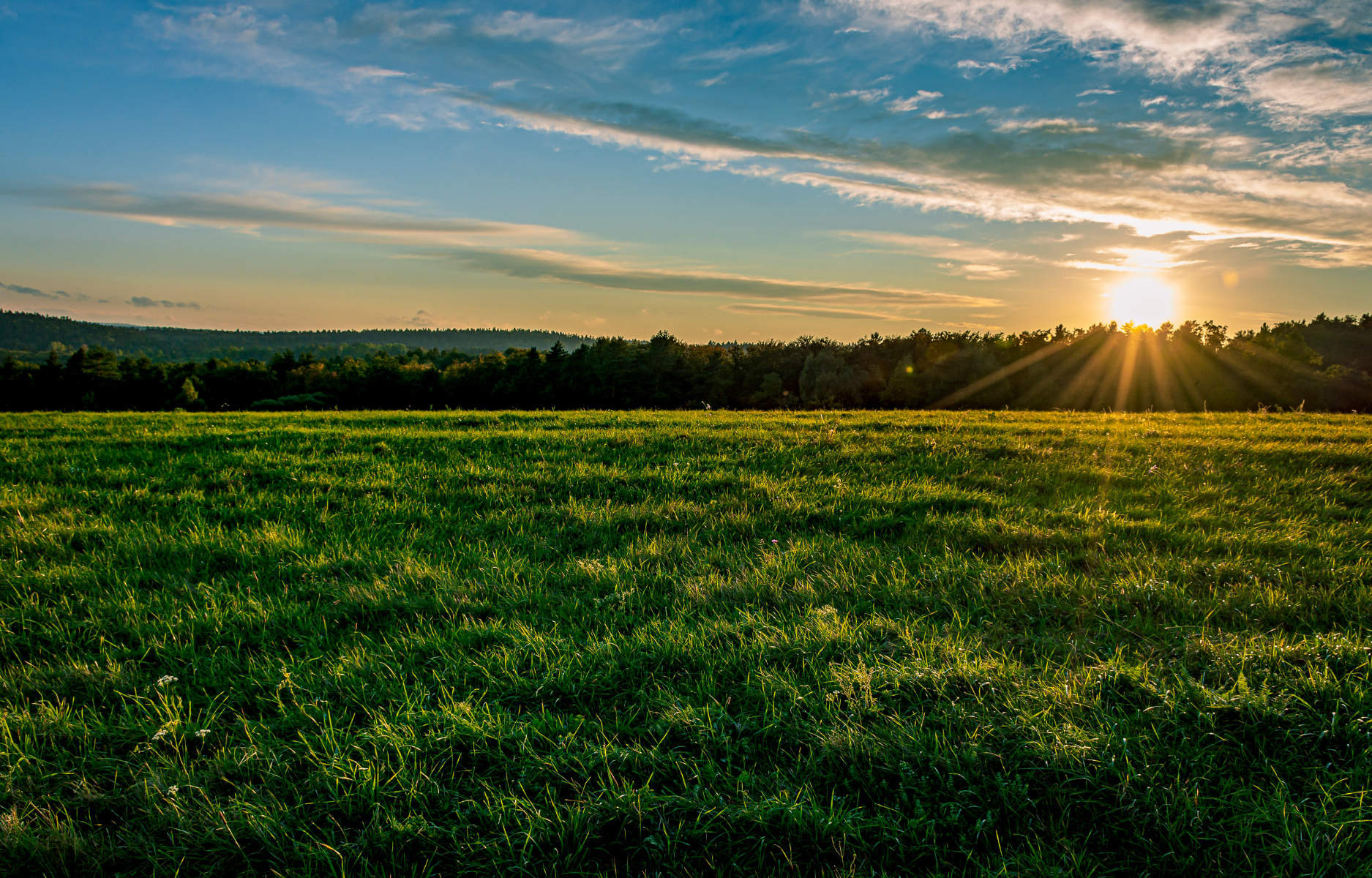 british countryside view at sunset