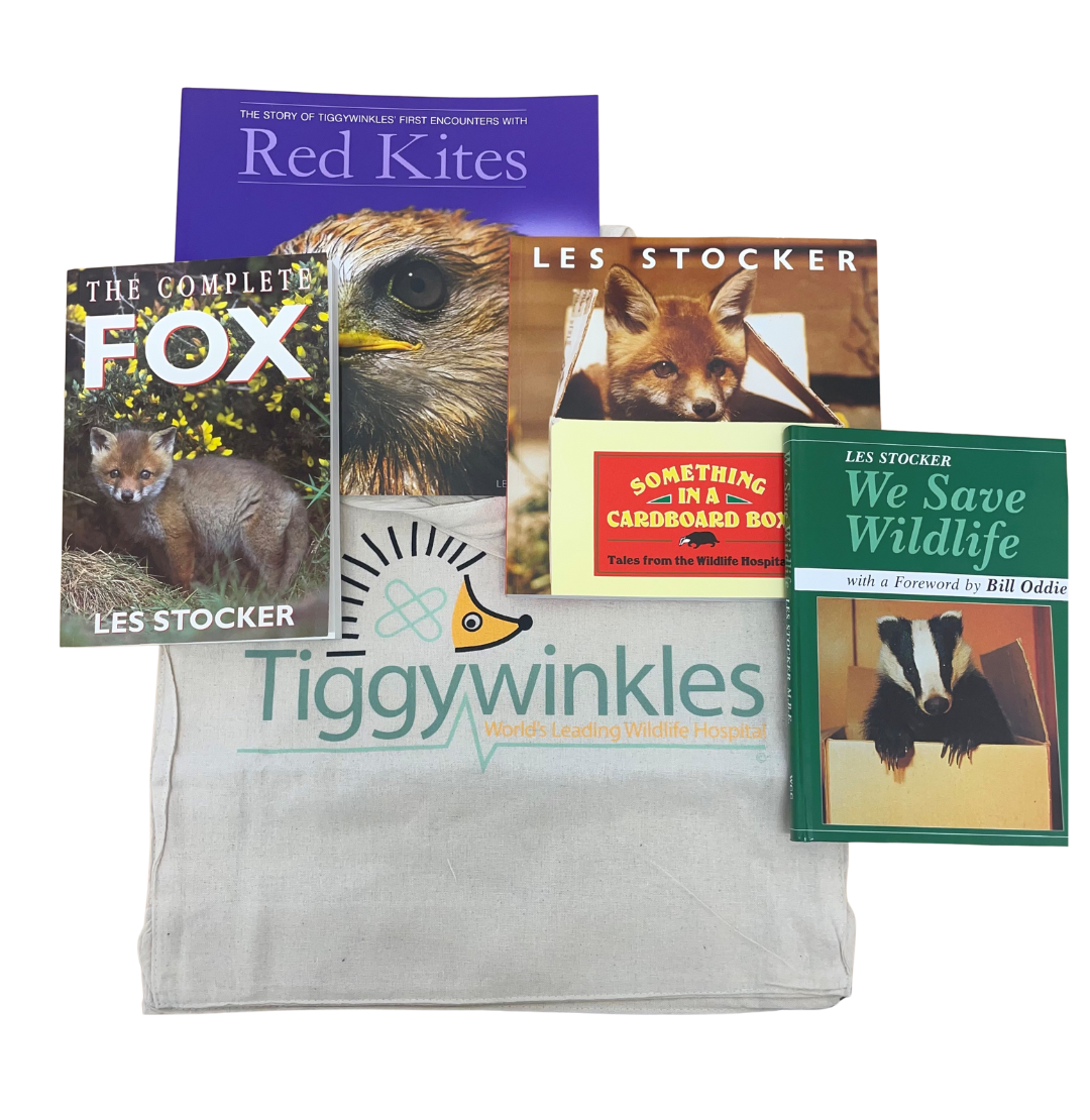 Book Lover's Gift Set