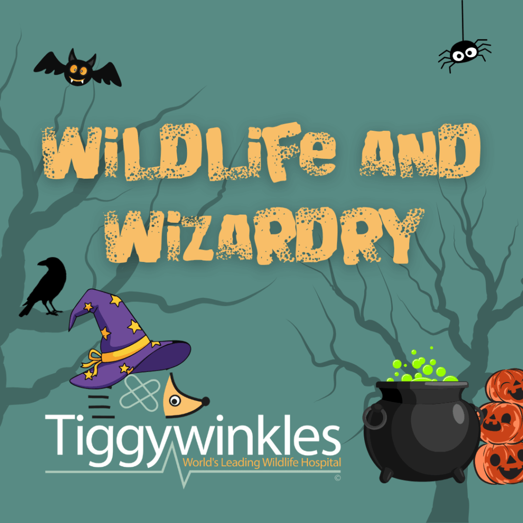 halloween themed tour of the visitor centre for kids at half-term
